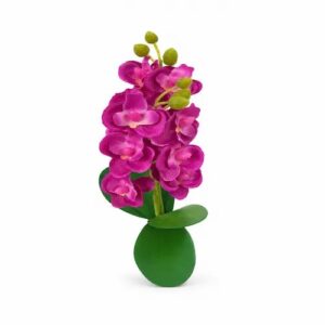 Mini orchidée h24cm