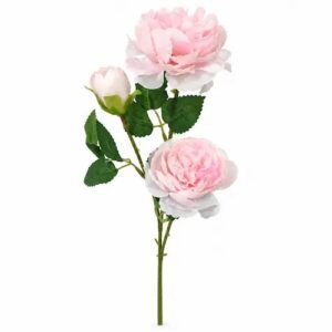 Œillets rose clair